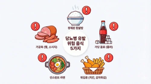 당뇨를 유발하는 위험한 음식 5가지 정제 탄수화물 가당음료 튀김 라면 가공육